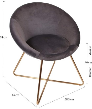 Fauteuil De Salon En Velours Karl Gris Comparez et commandez 