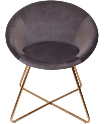 Fauteuil De Salon En Velours Karl Gris Comparez et commandez 