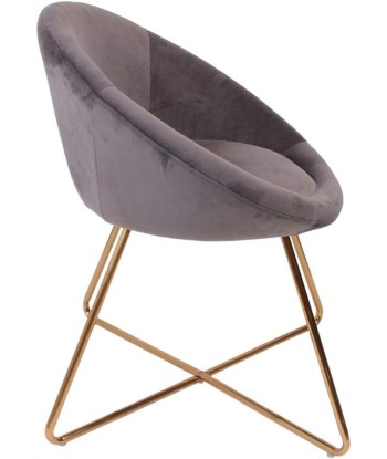 Fauteuil De Salon En Velours Karl Gris Comparez et commandez 