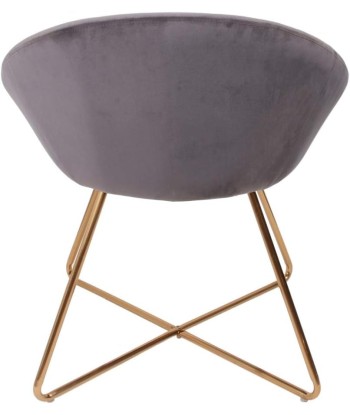 Fauteuil De Salon En Velours Karl Gris Comparez et commandez 