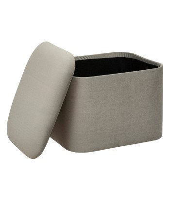 Lot de 2 poufs coffre Dani En Velours Gris store