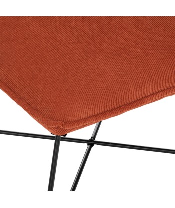 Fauteuil En Velours Moana Terracotta de technologie