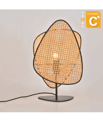 Lampe à poser Screen Cannage Haut. 51 cm français