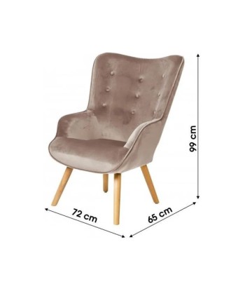 Fauteuil De Salon Velours Beige prix pour 