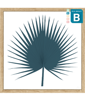 Cadre herbier tropical Washingtonia Palm - 3 tailles du meilleur 