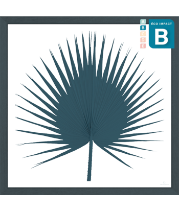 Cadre herbier tropical Washingtonia Palm - 3 tailles du meilleur 