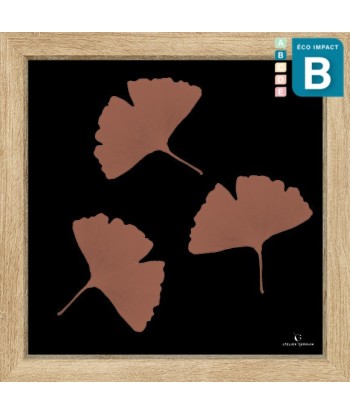 Cadre mini herbier tropical Ginkgo, 30x30cm destockage