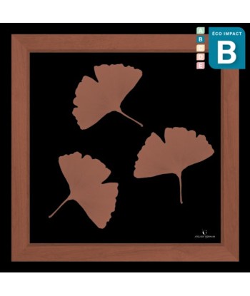 Cadre mini herbier tropical Ginkgo, 30x30cm destockage