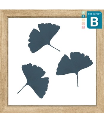 Cadre mini herbier tropical Ginkgo, 30x30cm destockage