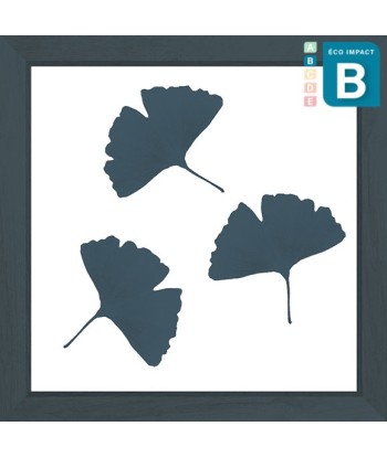 Cadre mini herbier tropical Ginkgo, 30x30cm destockage