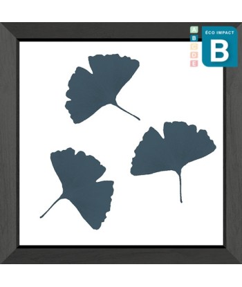 Cadre mini herbier tropical Ginkgo, 30x30cm destockage