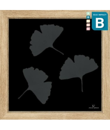 Cadre mini herbier tropical Ginkgo, 30x30cm destockage