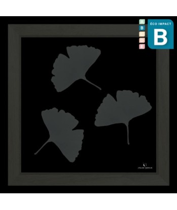 Cadre mini herbier tropical Ginkgo, 30x30cm destockage