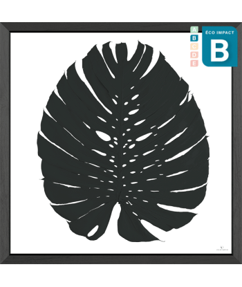 Cadre herbier tropical Phylomonstera - 2 tailles les muscles