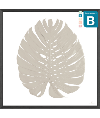 Cadre herbier tropical Phylomonstera - 2 tailles les muscles