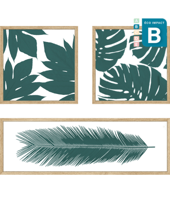 Cadre composition d'herbiers - Numéro 4, Long. 120x120cm 50% de réduction en Octobre 2024