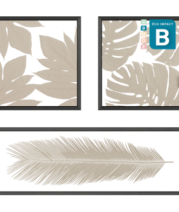 Cadre composition d'herbiers - Numéro 4, Long. 120x120cm 50% de réduction en Octobre 2024