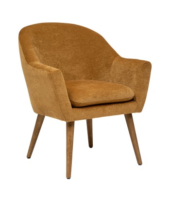 Fauteuil De Salon Sinel Jaune Ocre acheter